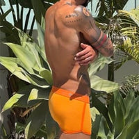 Tropical Vibes, 3-pack