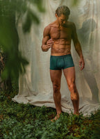 Tropical Vibes, 3-pack